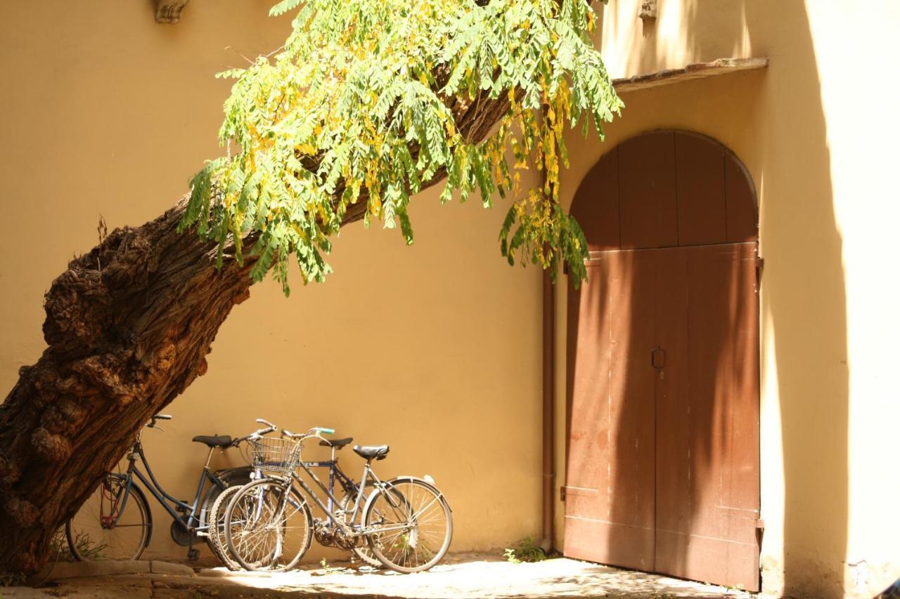Acacia Firenze - Primula Διαμέρισμα Δωμάτιο φωτογραφία